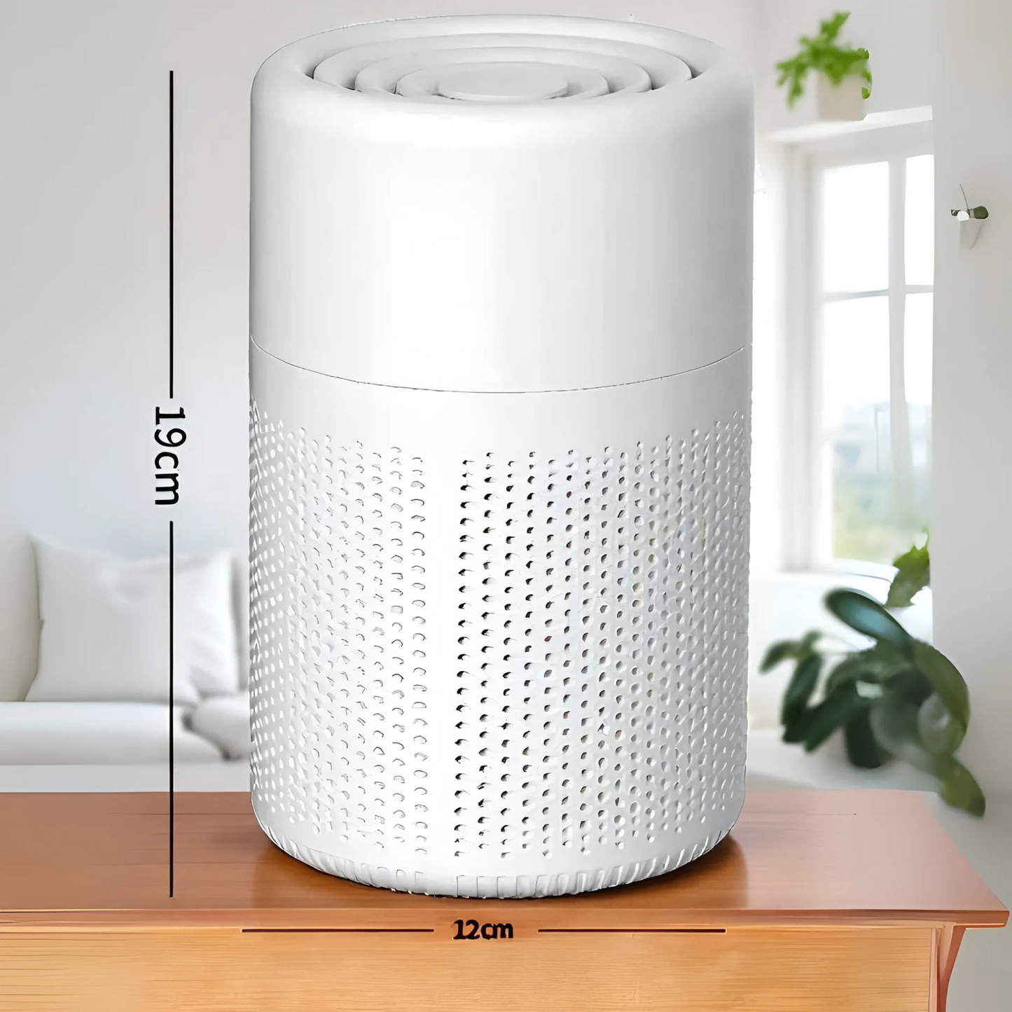 Aura Vita