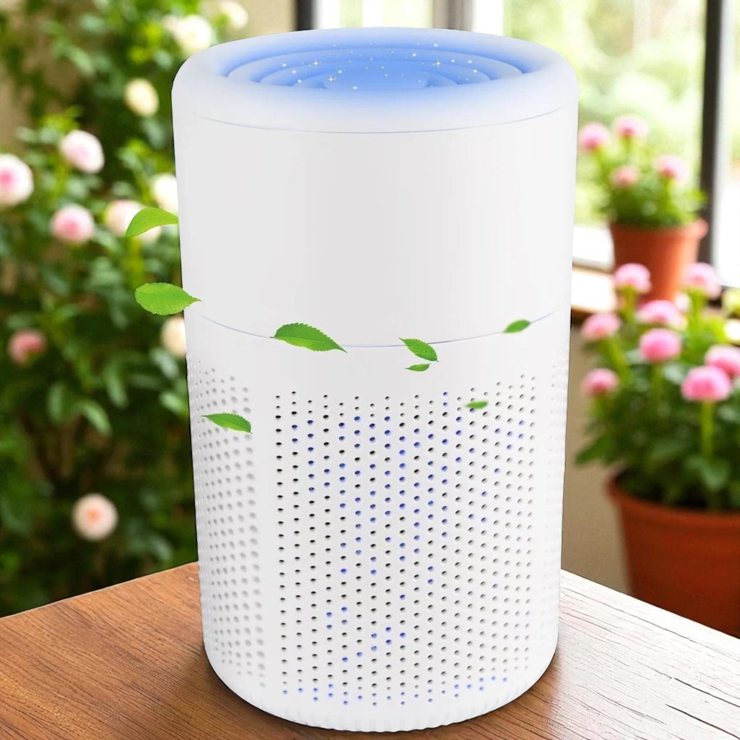 Aura Vita